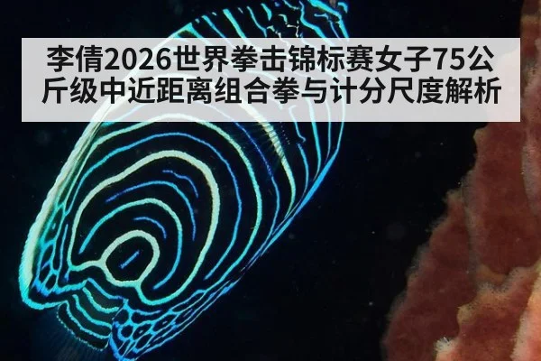 李倩2026世界拳击锦标赛女子75公斤级中近距离组合拳与计分尺度解析